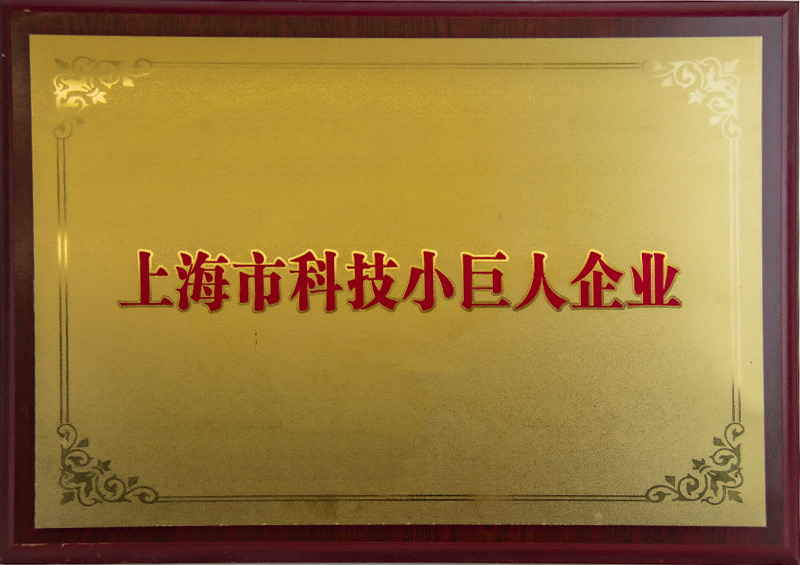 科技小巨人企业